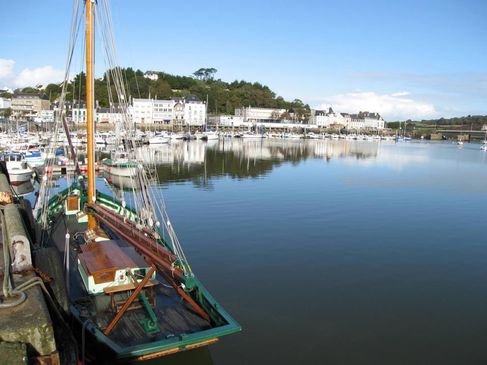 Audierne zone d'exposition au risque mérule