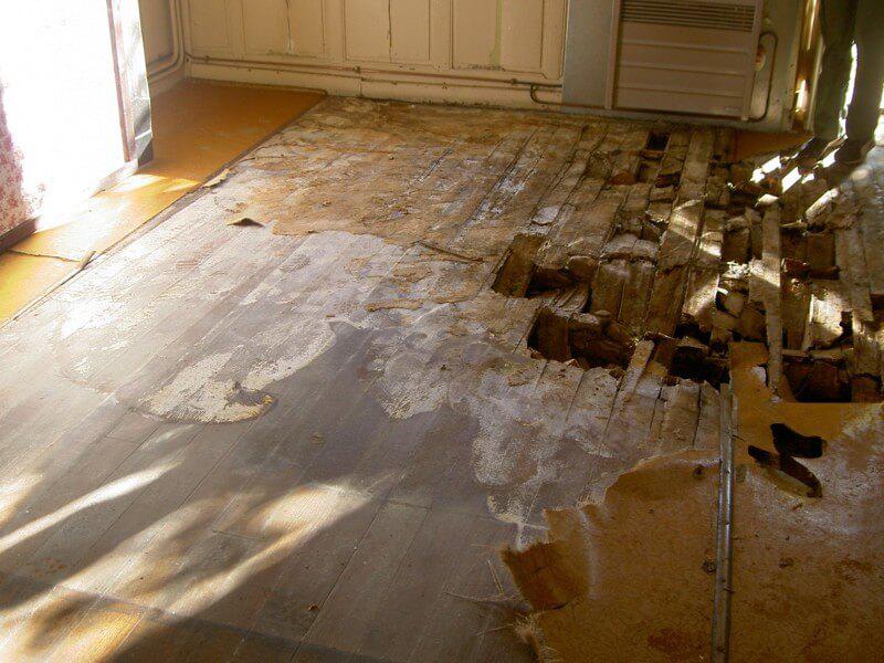 Comment éviter la mérule ?