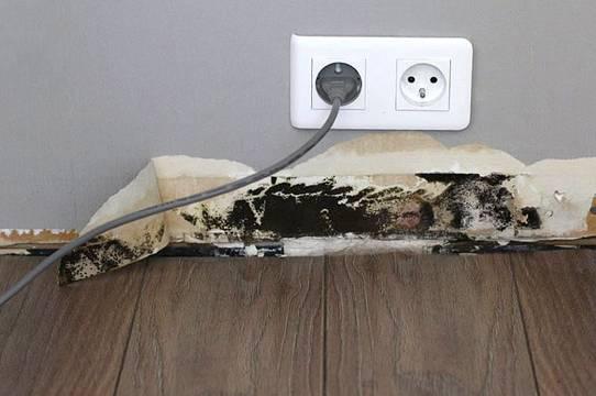 Décollement des peintures et tapisseries