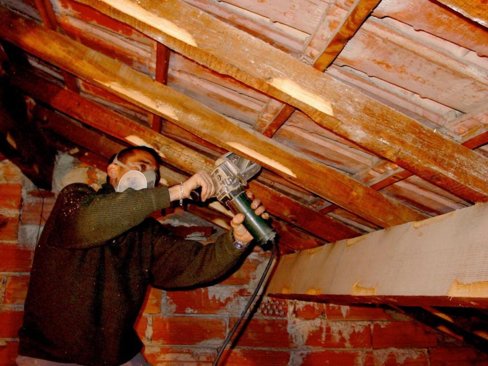 Le capricorne du chêne