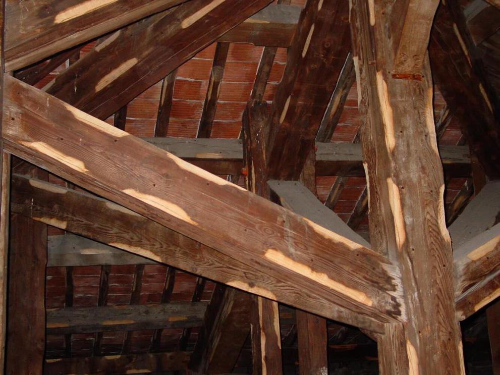 La phase de sondage des bois