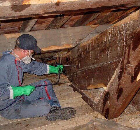 Découvrez le traitement des bois et charpentes