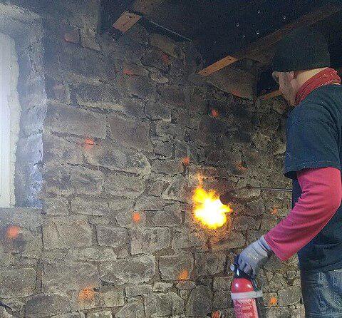 Découvrez le traitement de la mérule