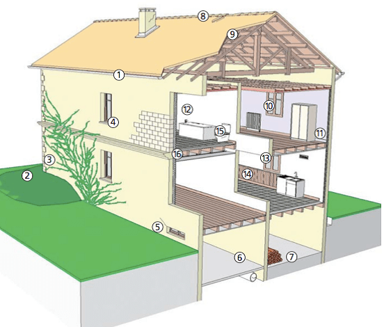 Où trouver de la mérule dans une maison ?