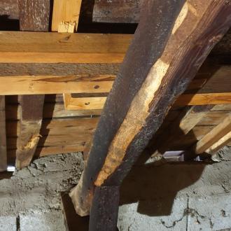 Traitement d'une charpente (faux entraits, pannes)