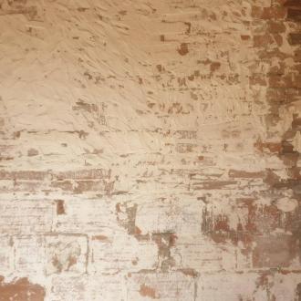 Présence de mérule