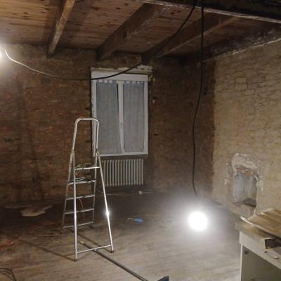 Traitement conophiores et des solives